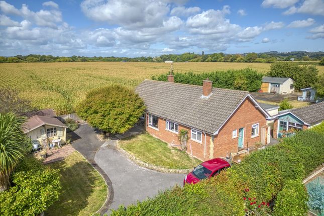 Thumbnail Detached bungalow for sale in Cedarwood North End, Creech St. Michael, Taunton