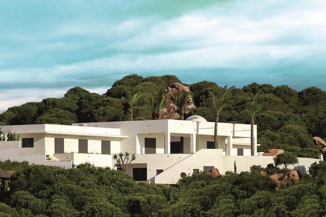 Thumbnail Villa for sale in Sotogrande, Andalucía, Spain