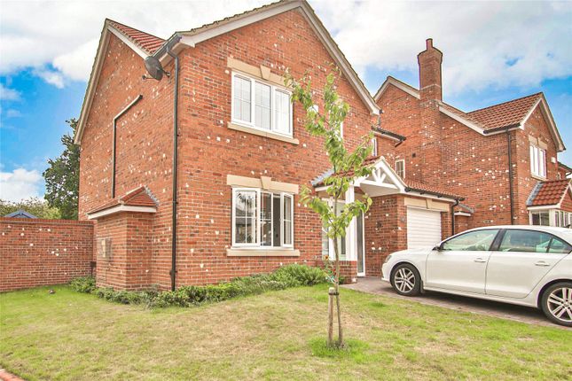 Thumbnail Detached house for sale in Sycamore Close, Wootton, Ulceby, Lincolnshire