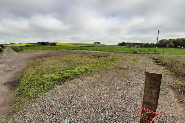 Land for sale in Chapelton Smiddy, Arbroath