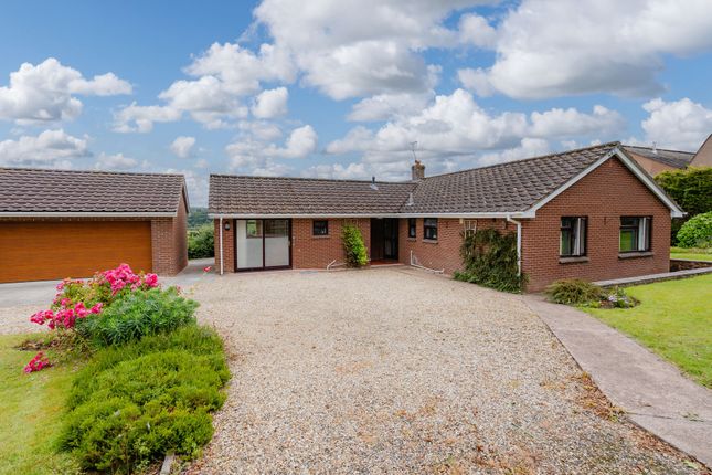 Thumbnail Detached bungalow to rent in Tedburn St. Mary, Exeter