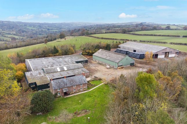 Cefn-Ceist Farm