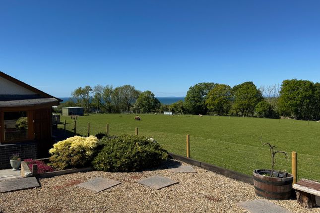 Maestir, Upper Aberarth, Nr Aberaeron photo 2