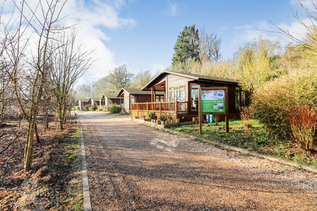 Cottage for sale in Staithe Road, Burgh St. Peter, Beccles