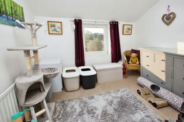 Semi-detached house for sale in Whites Road, Southampton, Hampshire