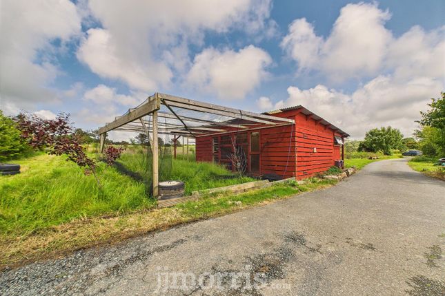 Chicken Shed With Run