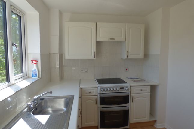 7, Kerby Rise, Chelmsford photo 5