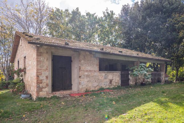 Country house for sale in Via Della Casa di Belverde, Cetona, Toscana