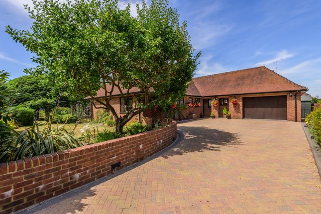 Thumbnail Bungalow for sale in Kettlewell Close, Horsell, Woking