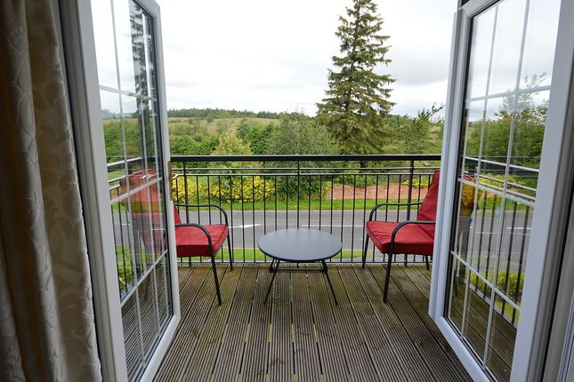 29, Foxglove Road, Newton Mearns photo 5