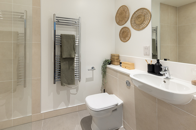 Pocket Show Home