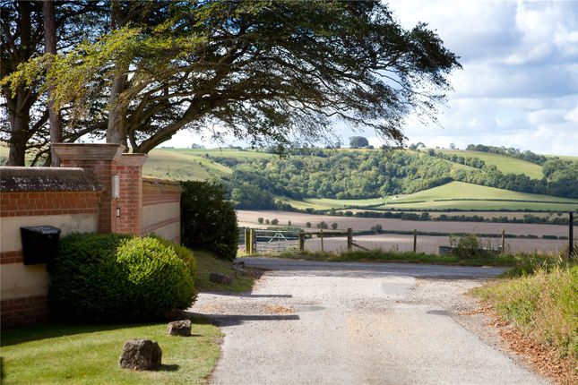 View To The West