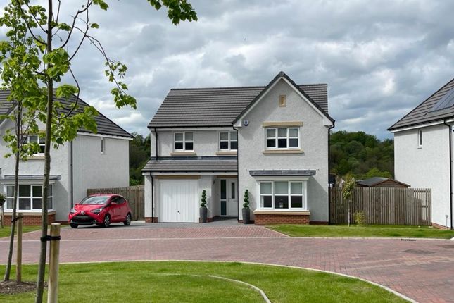 Thumbnail Detached house to rent in Pailis Crescent, Bothwell, Glasgow