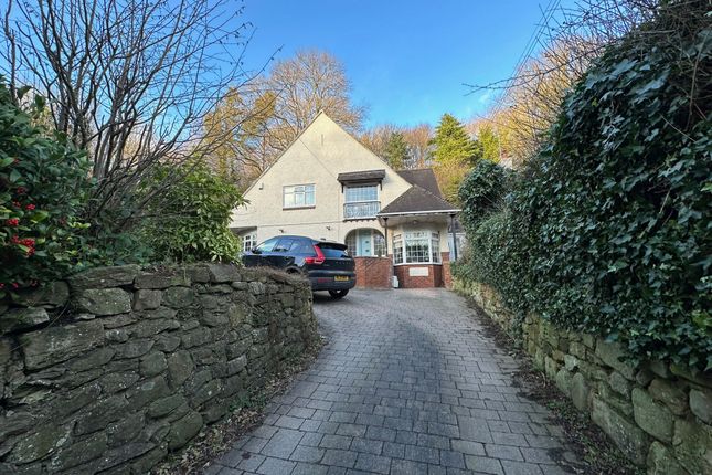 Thumbnail Detached house for sale in Pelton Fell Road, Chester Le Street