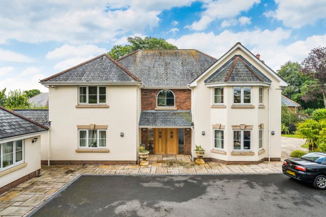 Thumbnail Detached house to rent in West Hill, Ottery St. Mary, Devon