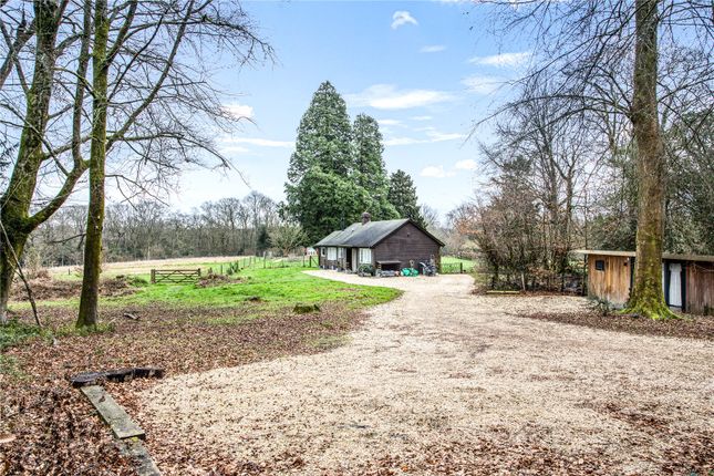 Detached house for sale in Longmoor Road, Liphook, Hampshire