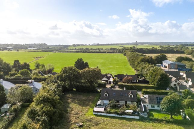 1346499-8-68c8477...