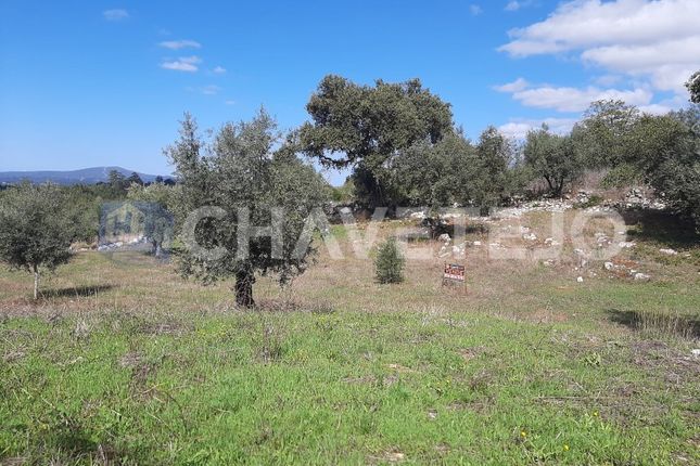 Thumbnail Land for sale in Almoster, Alvaiázere, Leiria
