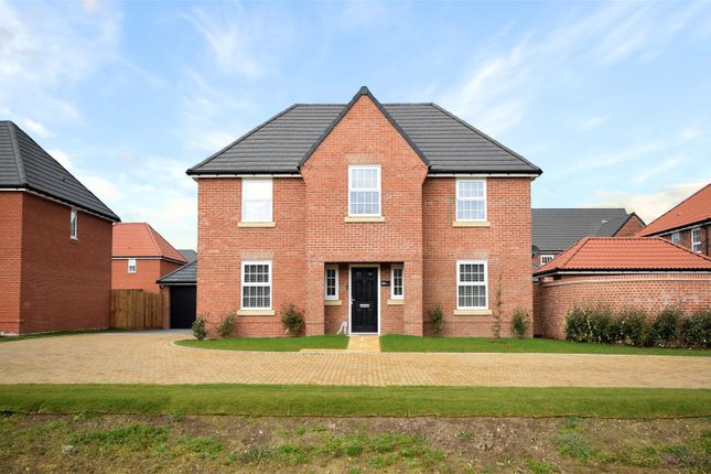 Detached house for sale in Flag Cutters Way, Horsford, Norwich