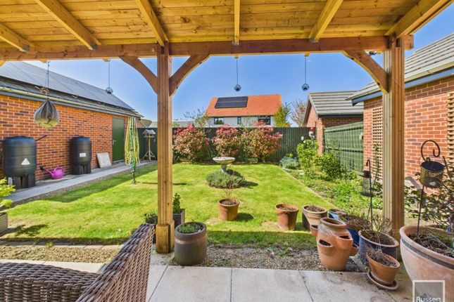26, Walnut Tree Road, Norwich photo 4