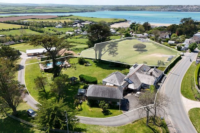Cockmoyle
