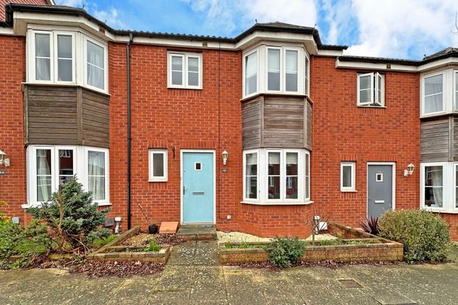 Thumbnail Terraced house for sale in River Plate Road, Exeter