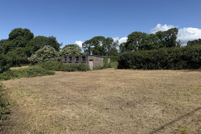 Withybush Lodge Farm, Crundale, Haverfordwest photo 3