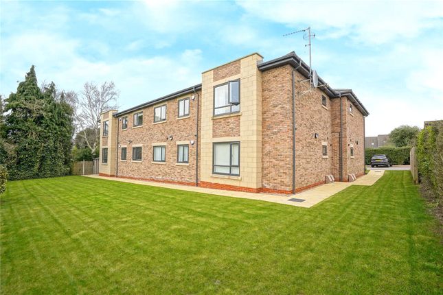 7, Fairview, Rotherham photo 4