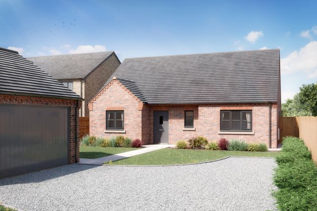 Brand New Bungalows, Maple Way, Spalding photo 4