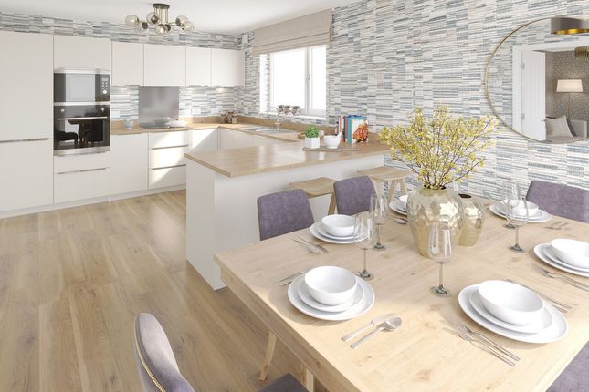 55 (Plot 41), Town Park Way, Glenrothes photo 3