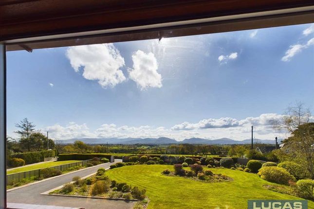 View From Bedroom 1
