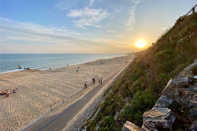 Local Beach