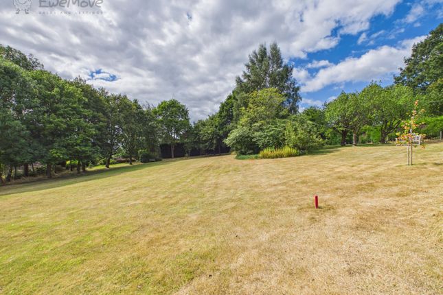 43, Moorgreen, Nottingham photo 3