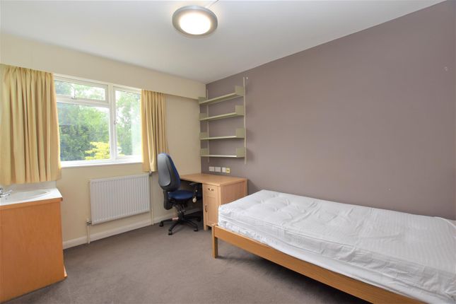 Room 17, Martindale Court, Reading photo 2