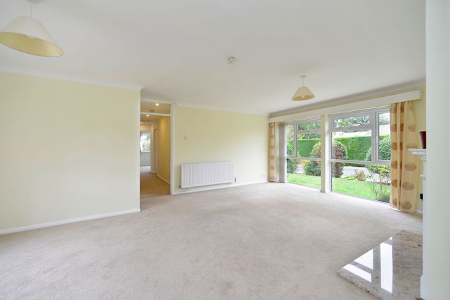 24 Grange Park, Cranleigh photo 3