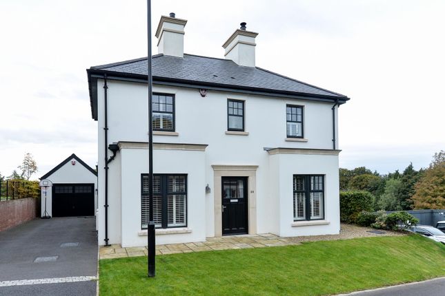 Thumbnail Detached house for sale in Lady Ishbel Avenue, Belfast, County Antrim