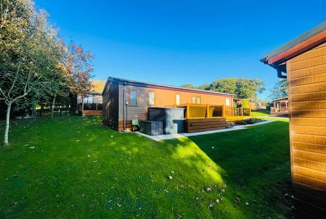 Willerby Portland, Whitford, Flintshire photo 4