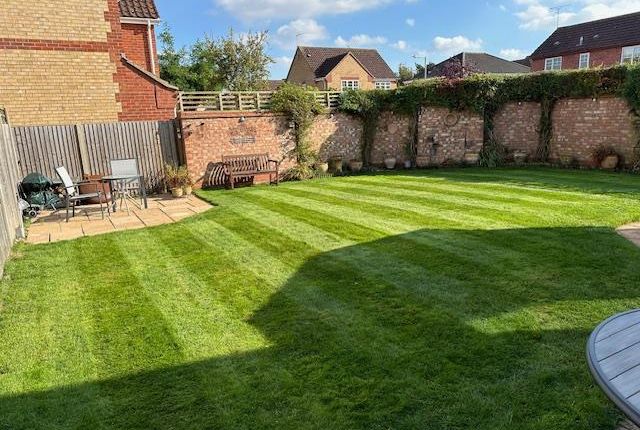 Ditchingham Grove, Ipswich photo 2