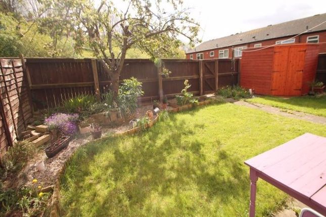 Bright And Well-Maintained Garden With Lush Green ...