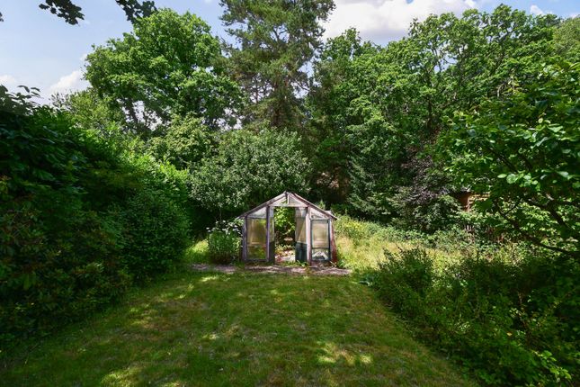 3, Bower Road, Farnham photo 2