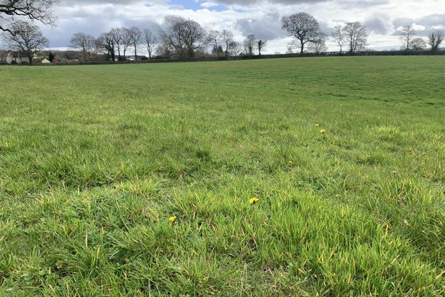 Land for sale in Halstock, Yeovil