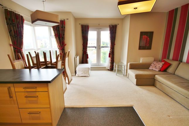 30, Circus Drive, Cambridge photo 4