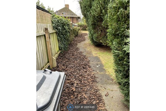 Gilbert Road, Cambridge photo 5