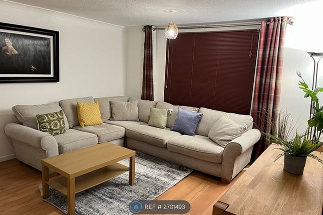 Sofology Sofa Provides The Focal Point