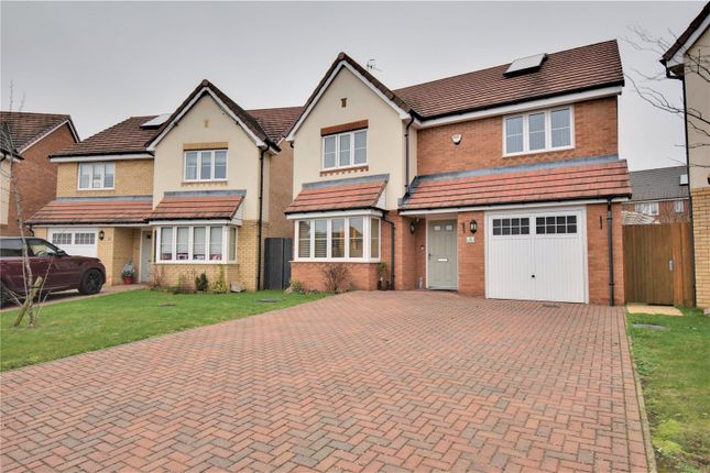 Thumbnail Detached house to rent in Watford, Hertfordshire