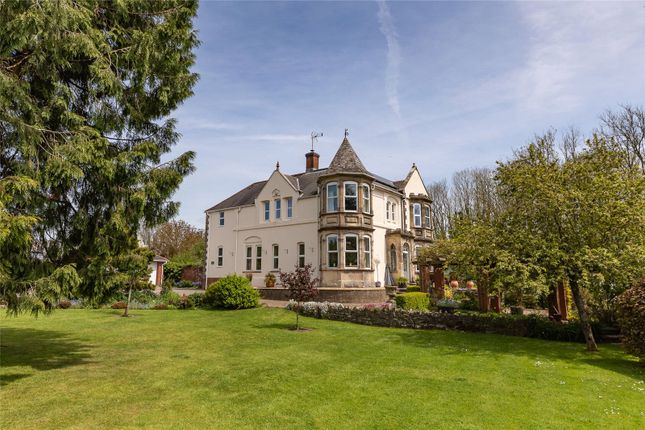 Thumbnail Detached house for sale in Holywell, Dorchester, Dorset