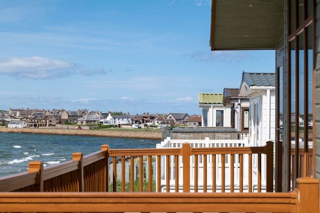 Lossiemouth Holiday Park, East Beach, Lossiemouth photo 5