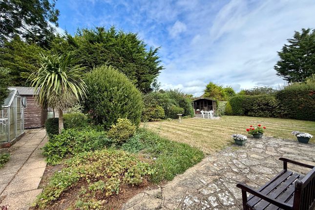 12, The Grove, Eastbourne photo 3