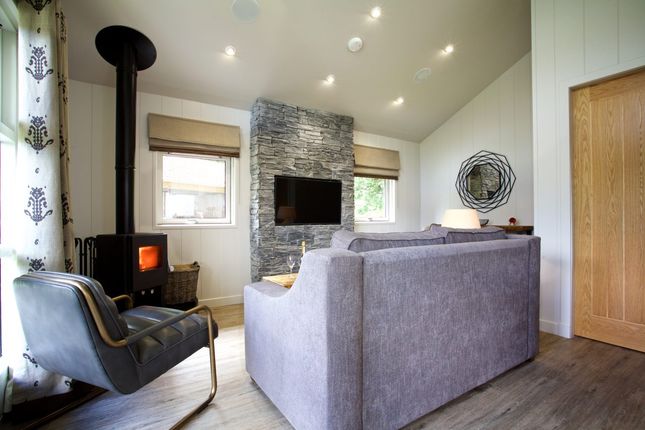Loch Tay Highland Lodges, Milton Morenish Estate, Killin photo 3