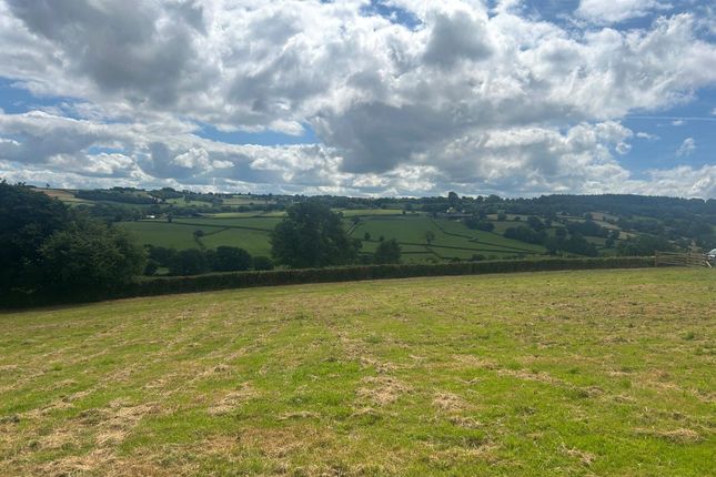 Land Adjoining The Shippen,, Upottery, Devon photo 4